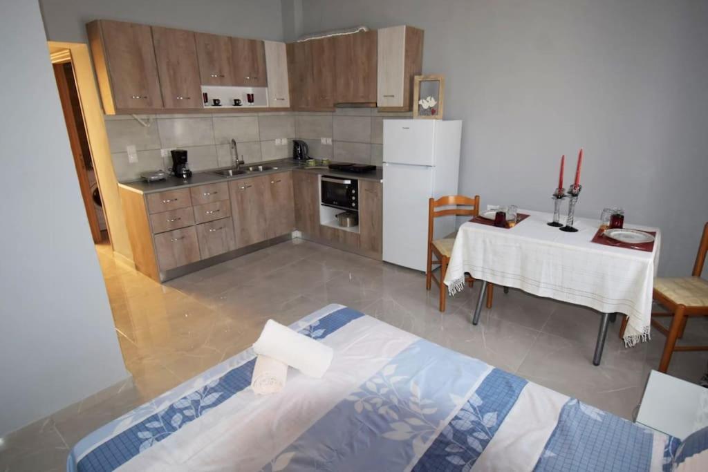 Villa Moshovia Studio Κάρπαθος Στο Κέντρο Και Ήσυχα Extérieur photo